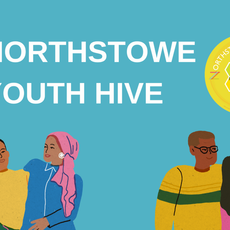 A banner reading Northstowe Youth Hive, with pictures of diverse young people looking happy.